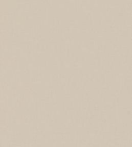 Miro Fabric by Romo Shell