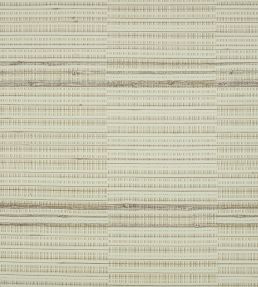 Root Wallpaper by Mark Alexander Jasper White