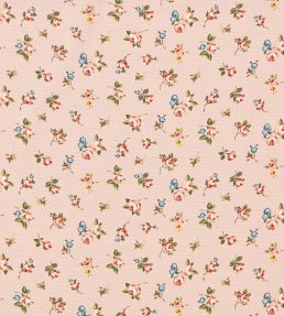 Rosebud Fabric by Clarke & Clarke Blush