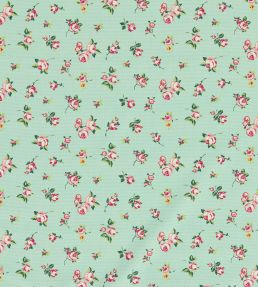 Rosebud Fabric by Clarke & Clarke Mineral