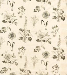 Roseraie Fabric by Clarke & Clarke Charcoal