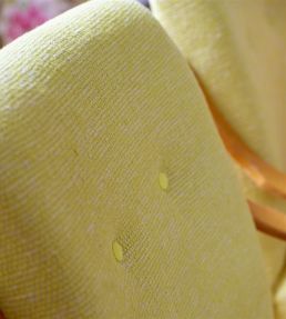 Roussillon Fabric by Designers Guild Alchemilla