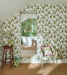 Rubus Wallpaper by Sanderson Raspberry