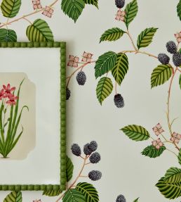Rubus Wallpaper by Sanderson Raspberry