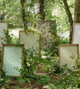 Rye Wallpaper by Sanderson Shed Green