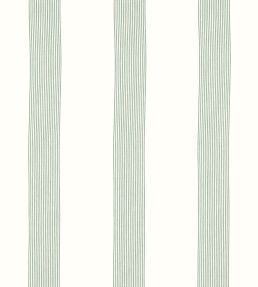 Sabine Stripe Fabric by Thibaut Aloe