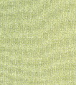Sacchi Fabric by Thibaut Leaf