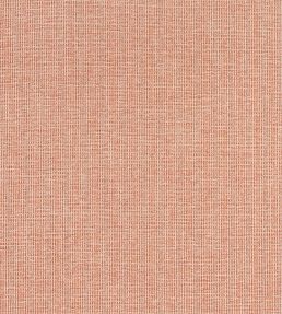 Sacchi Fabric by Thibaut Terracotta