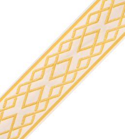 Saisons Interlink Border Trimming by Samuel & Sons Sun