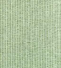 Salem Stripe Fabric by Thibaut Mojito