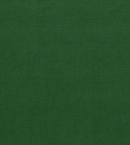 Saluzzo Fabric by Ashley Wilde Fern