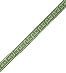 Aristotle Greek Key 16MM Trimming by Samuel & Sons Fern