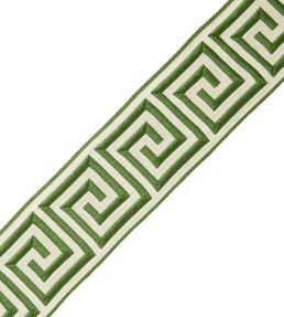 Aristotle Greek Key 35MM Trimming by Samuel & Sons Fern