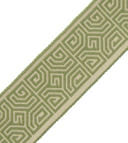 Aztec Border Trimming by Samuel & Sons Avocado