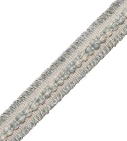 Somerset Strie Braid Trimming by Samuel & Sons Rain