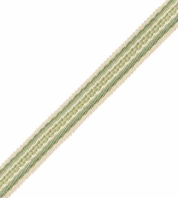 19mm Tiverton Border Trimming by Samuel & Sons Fern