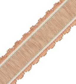 Tiverton Pleated Border Trimming by Samuel & Sons Rosewater