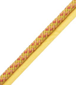 Veranda Cord With Tape Trimming by Samuel & Sons Waterlily