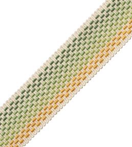 Veranda Ombre Border Trimming by Samuel & Sons Jonquille