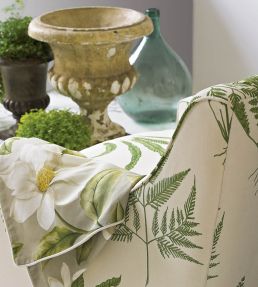 Woodland Ferns Fabric by Sanderson Green