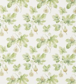 Fig Harvest Fabric by Sanderson Garden Green