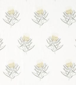 Protea Flower Fabric by Sanderson Daffodil / Natural