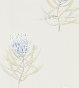 Protea Flower Wallpaper by Sanderson China Blue / Canvas