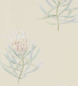 Protea Flower Wallpaper by Sanderson Russet / Green