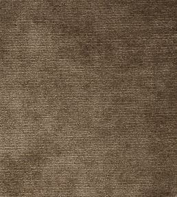 Boho Velvets Fabric by Sanderson Almond