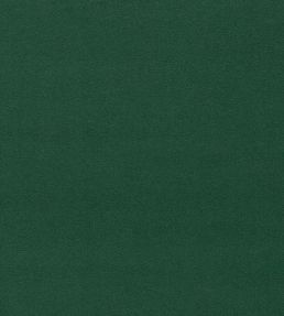 Dorton Fabric by Sanderson Cactus