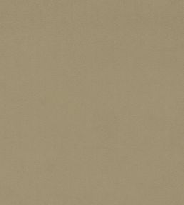Dorton Fabric by Sanderson Oatmeal