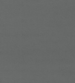 Dorton Fabric by Sanderson Gunmetal