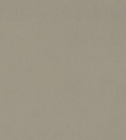 Dorton Fabric by Sanderson Tawny