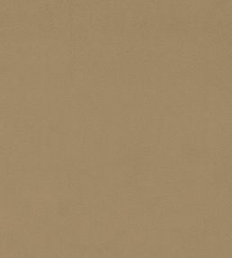 Dorton Fabric by Sanderson Pumice