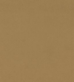 Dorton Fabric by Sanderson Hay