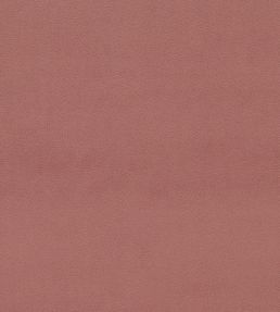 Dorton Fabric by Sanderson Vintage Rose