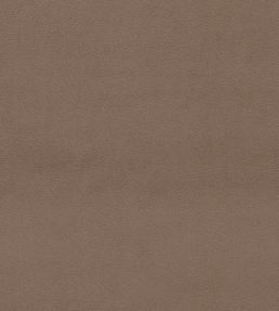 Dorton Fabric by Sanderson Truffle