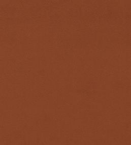 Dorton Fabric by Sanderson Autumn