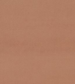 Dorton Fabric by Sanderson Auburn