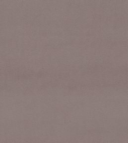 Dorton Fabric by Sanderson Heather