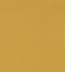 Dorton Fabric by Sanderson Saffron