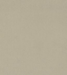 Dorton Fabric by Sanderson Marzipan
