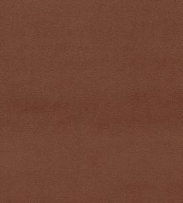 Dorton Fabric by Sanderson Chesnut