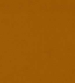 Dorton Fabric by Sanderson Mango