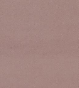 Dorton Fabric by Sanderson Blush