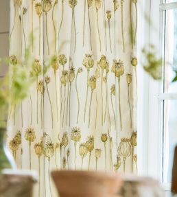 Poppy Pods Fabric by Sanderson Olive/Almond
