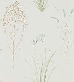 Farne Grasses Wallpaper by Sanderson Cream/Sage