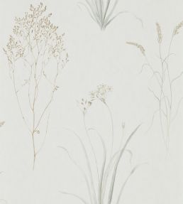 Farne Grasses Wallpaper by Sanderson Silver/Ivory