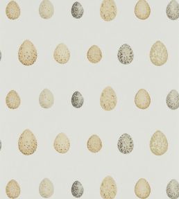 Nest Egg Wallpaper by Sanderson Corn Graphite