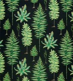 Fernery Fabric by Sanderson Botanical Green/Charcoal